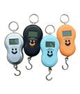 2.  POCKET HANGING SCALES - 40 KG X 10 gm